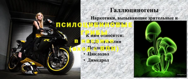 а пвп мука Надым