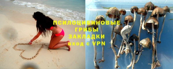 прущая мука Наволоки
