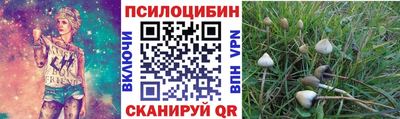Купить  Семёнов  Псилоцибиновые грибы мухоморы 